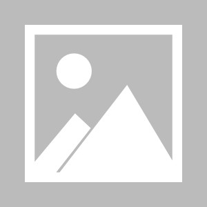 开云APP-哈兰德2球难救主 多特死穴被打爆，2连败后掉出前4