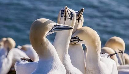 kaiyun.com-官方发布视频回顾中国女足U20备战情况，1月7日起于肇庆集训